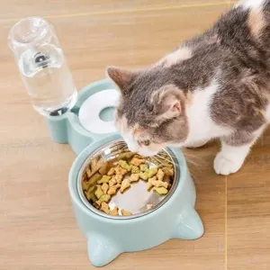 Cat Bowl and Water Feeder Dispenser