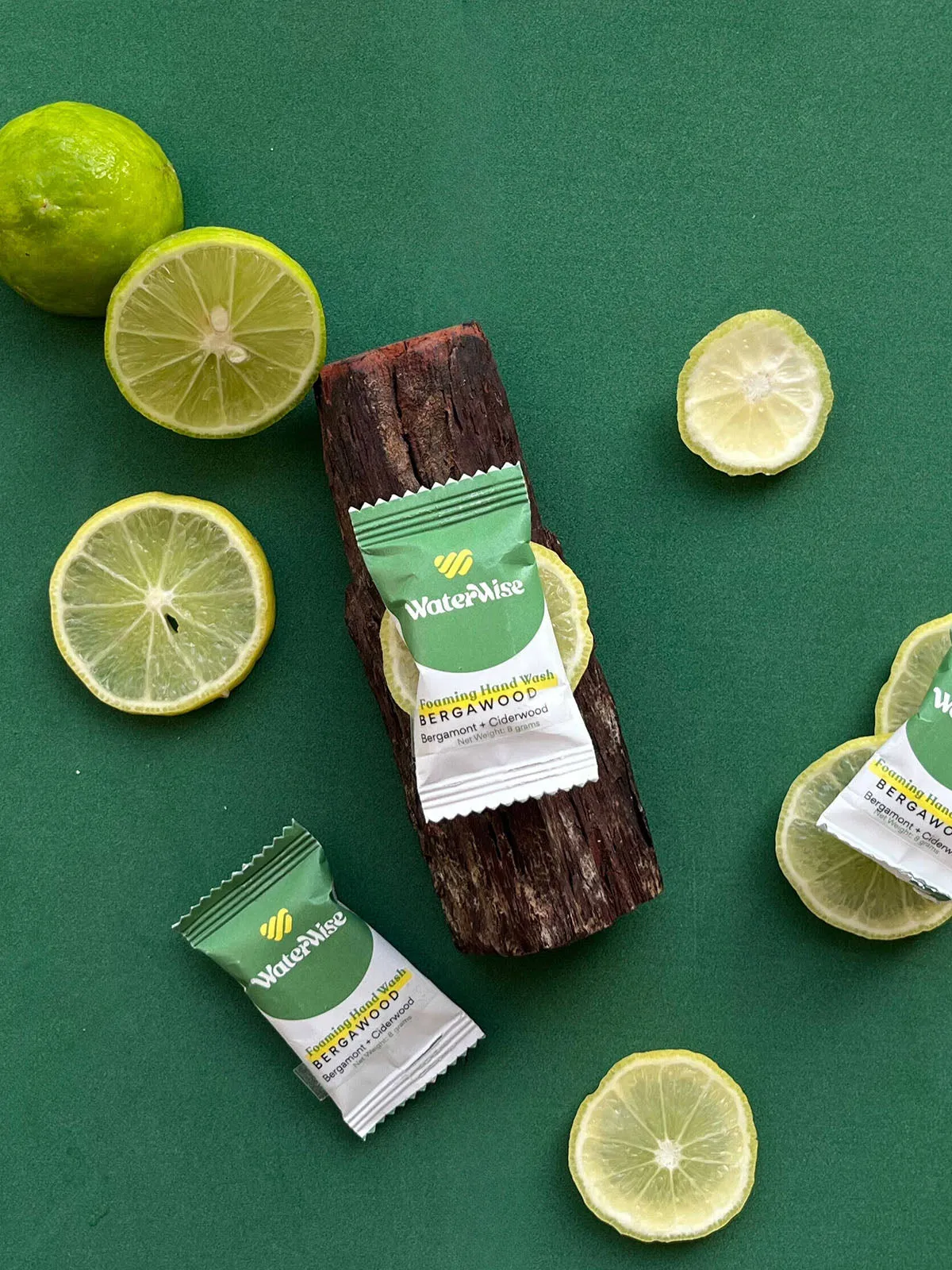 Eco-Friendly Gingerbread Handwash Starter Duo