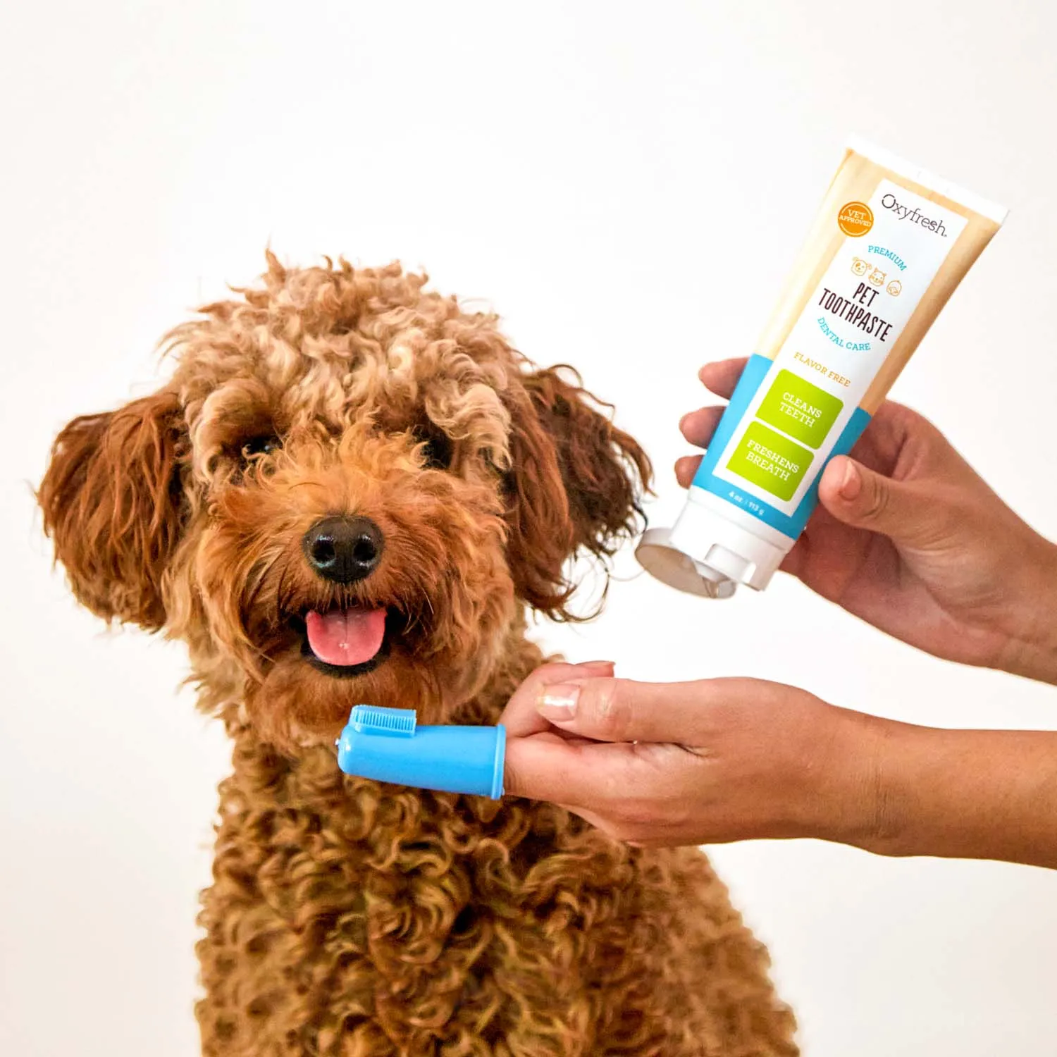 Pet Plaque Fighting Toothpaste & Brush