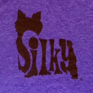 Silky Terrier