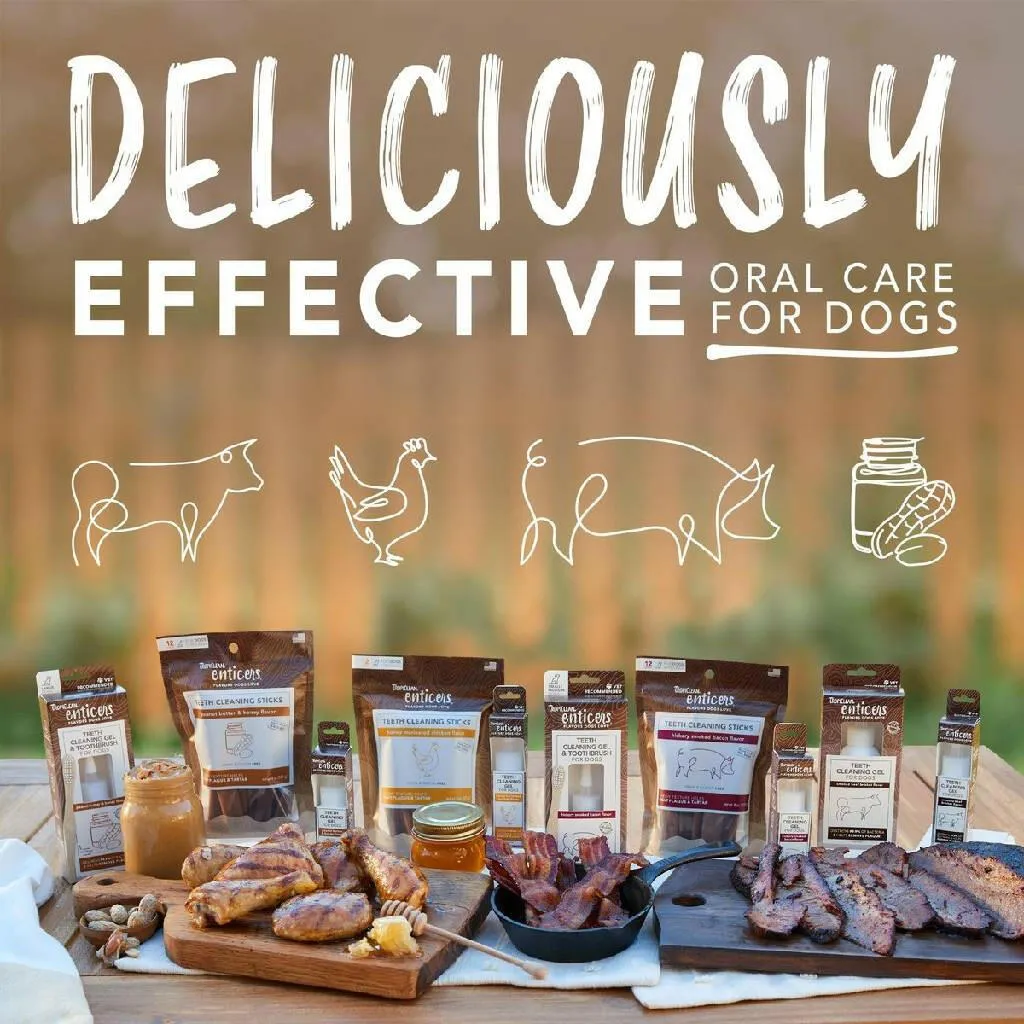 TropiClean Enticers Dental Cleaning Gel for Dogs Smoked Brisket Flavor