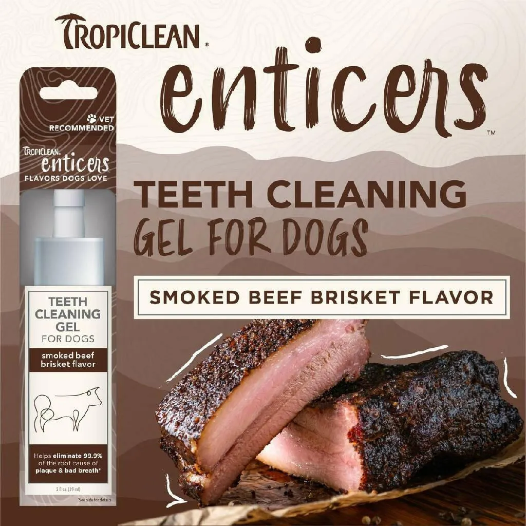 TropiClean Enticers Dental Cleaning Gel for Dogs Smoked Brisket Flavor