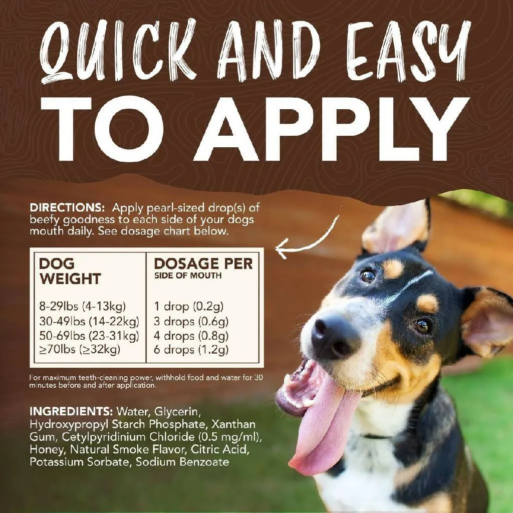 TropiClean Enticers Dental Cleaning Gel for Dogs Smoked Brisket Flavor