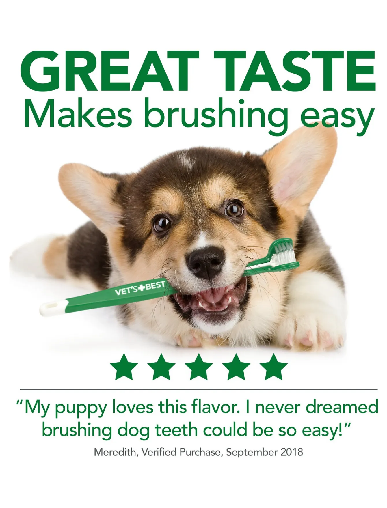 Vet's Best Dental Gel Toothpaste for Dogs 3.5oz