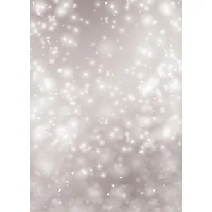 X-Drop Vinyl Backdrop – Gray Classic Bokeh (5' x 7')